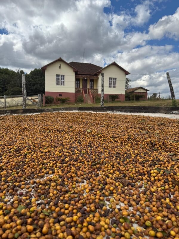 Café Tradicional Três Pontas - Imagem 4