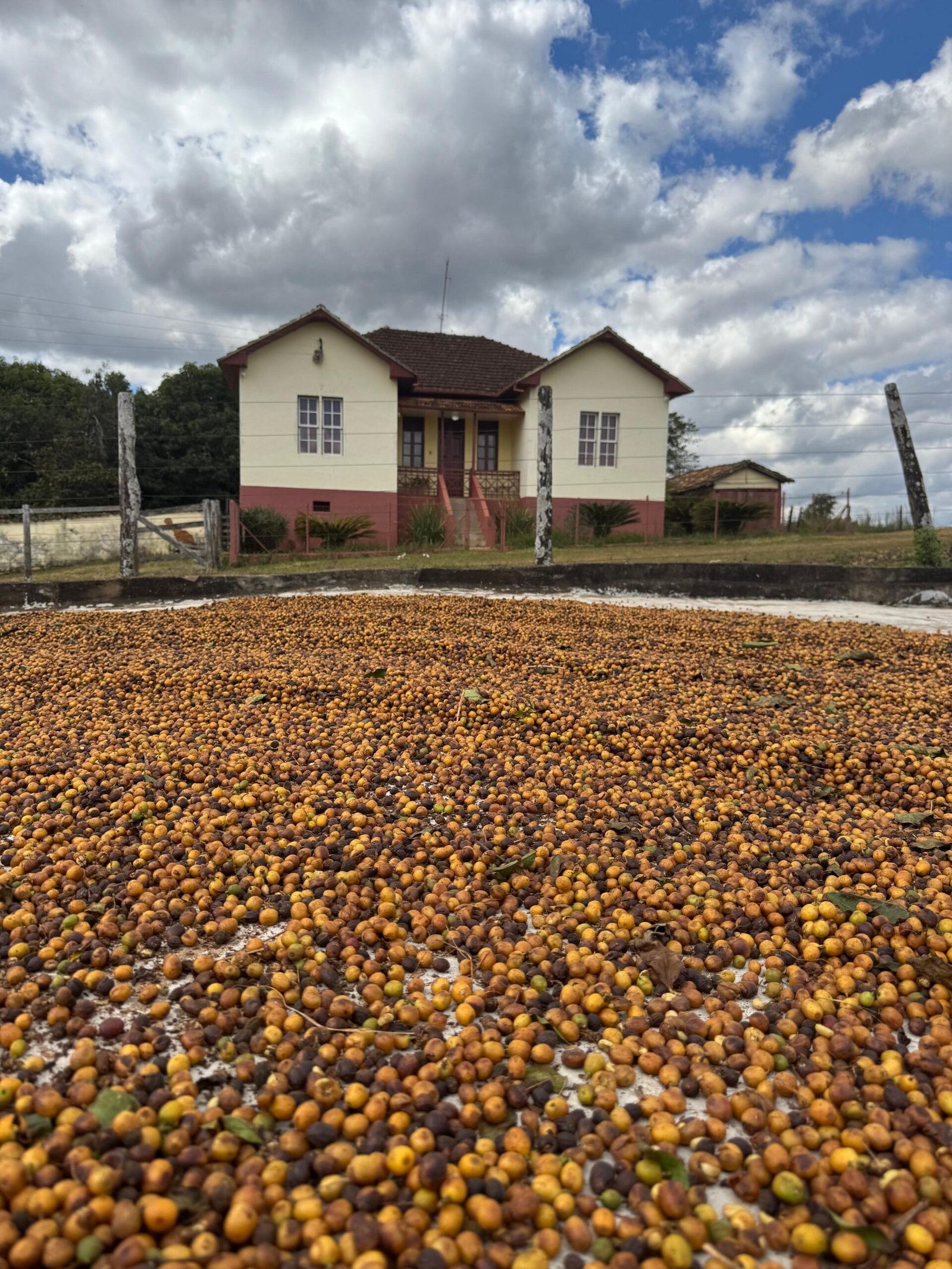 Imagem do WhatsApp de 2025-11-29 à(s) 05.59.02_bcf6f0e8