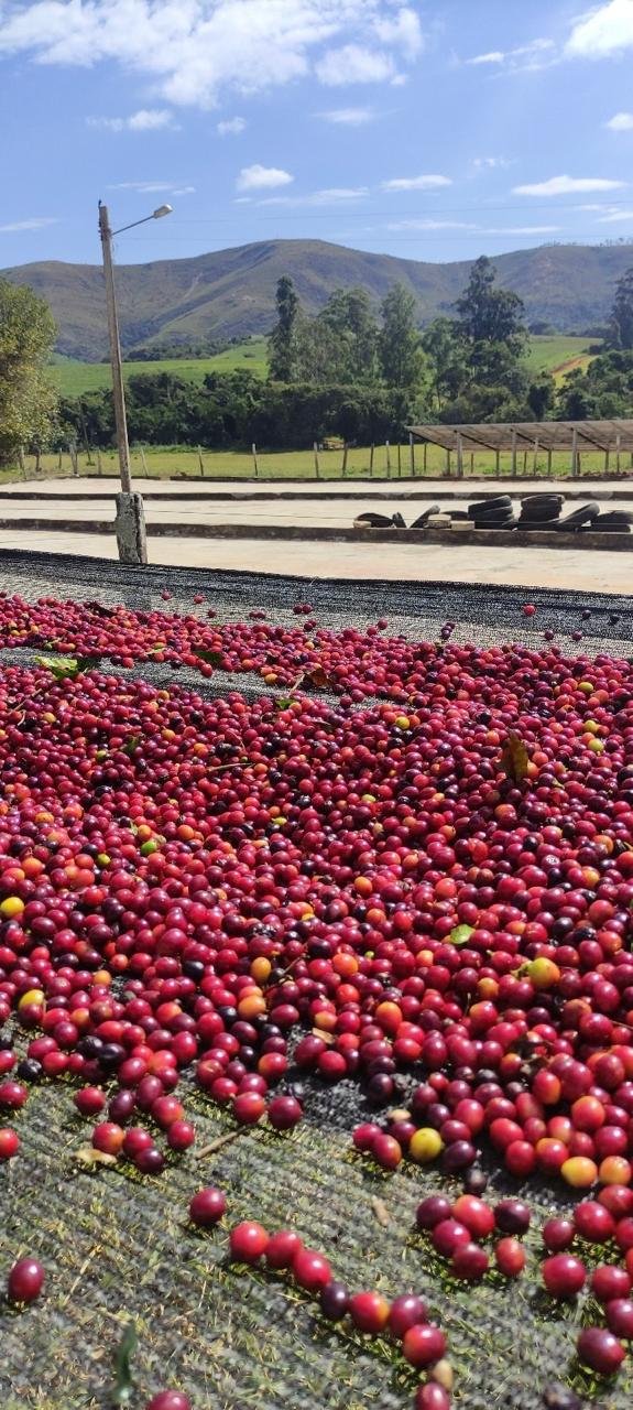 Imagem do WhatsApp de 2025-11-29 à(s) 06.01.18_1d21af3b